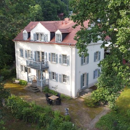 Villa Im Park Wachwitzgrund Dresden Exteriör bild