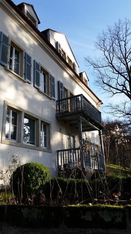Villa Im Park Wachwitzgrund Dresden Exteriör bild