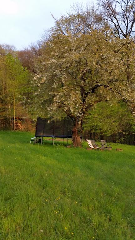 Villa Im Park Wachwitzgrund Dresden Exteriör bild