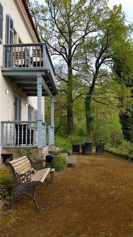 Villa Im Park Wachwitzgrund Dresden Exteriör bild