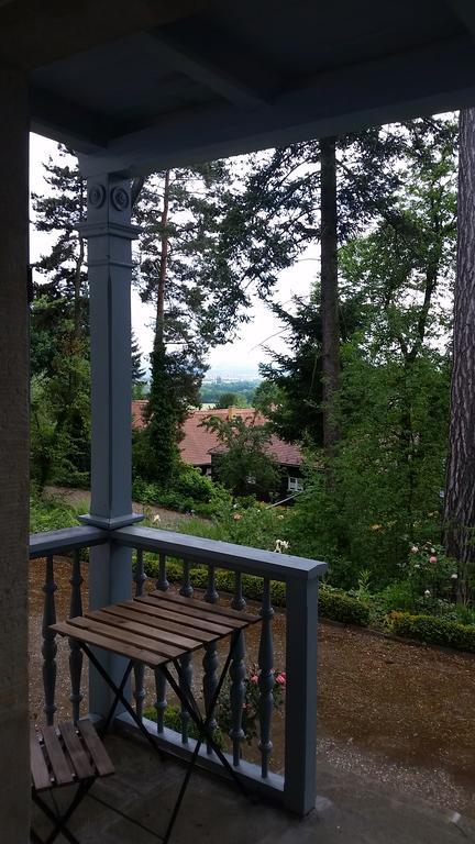 Villa Im Park Wachwitzgrund Dresden Exteriör bild
